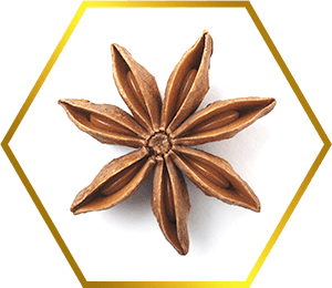 vkus
